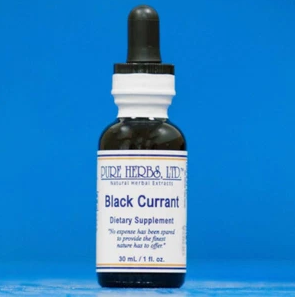 BLACK CURRANT | Herbal Support for Connective Tissue & Antioxidant Wellness | Pure Herbs LTD