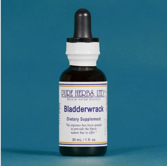 Bladderwrack | Traditional Sea Botanical for Muscle Strength & Healthy Thyroid Function | Pure Herbs LTD