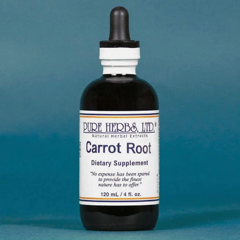 CARROT ROOT | Herbal Support for Skin Radiance, Eye Wellness & Digestive Balance |