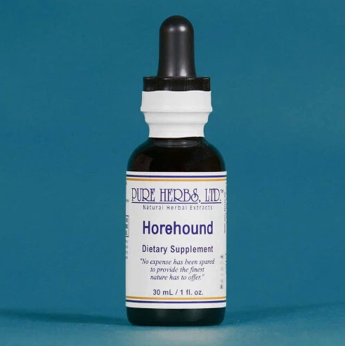 Horehound | Structured Herbal Support for Immune & Menstrual Balance