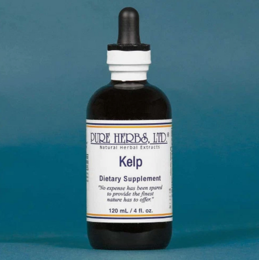 Kelp | Ocean-Sourced Mineral Support for Thyroid, Metabolic & Daily Wellness | Pure Herbs LTD