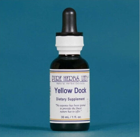 Yellow Dock | Herbal Support for Lymphatic & Skin Wellness | Pure Herbs LTD