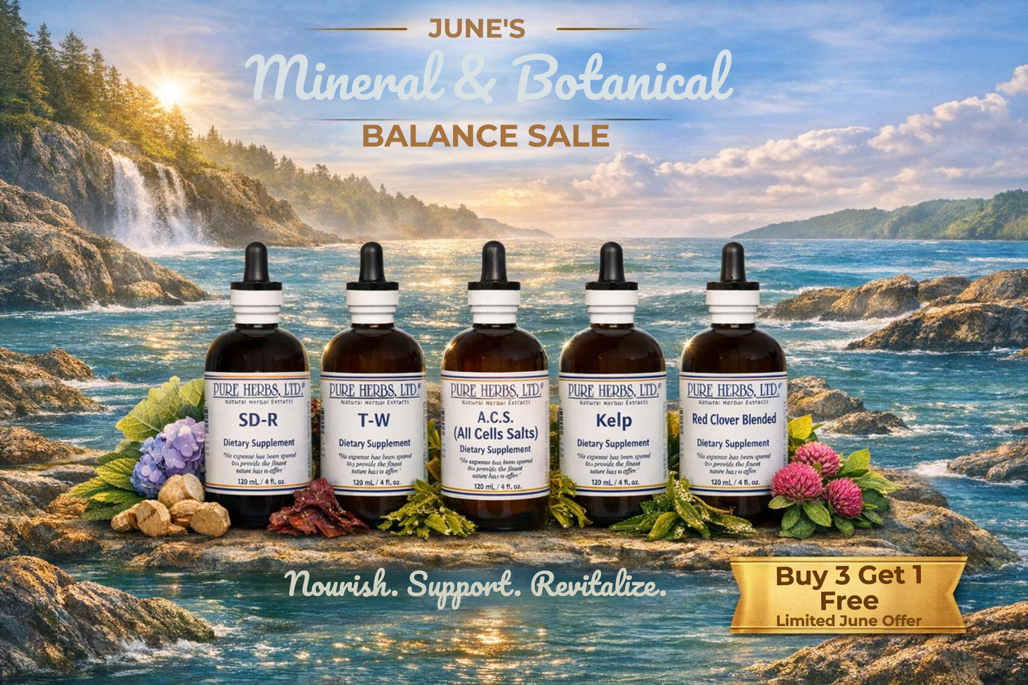 June's Mineral & Botanical Balance Sale | Buy 3 Bottles, Get the 4th Bottle FREE!