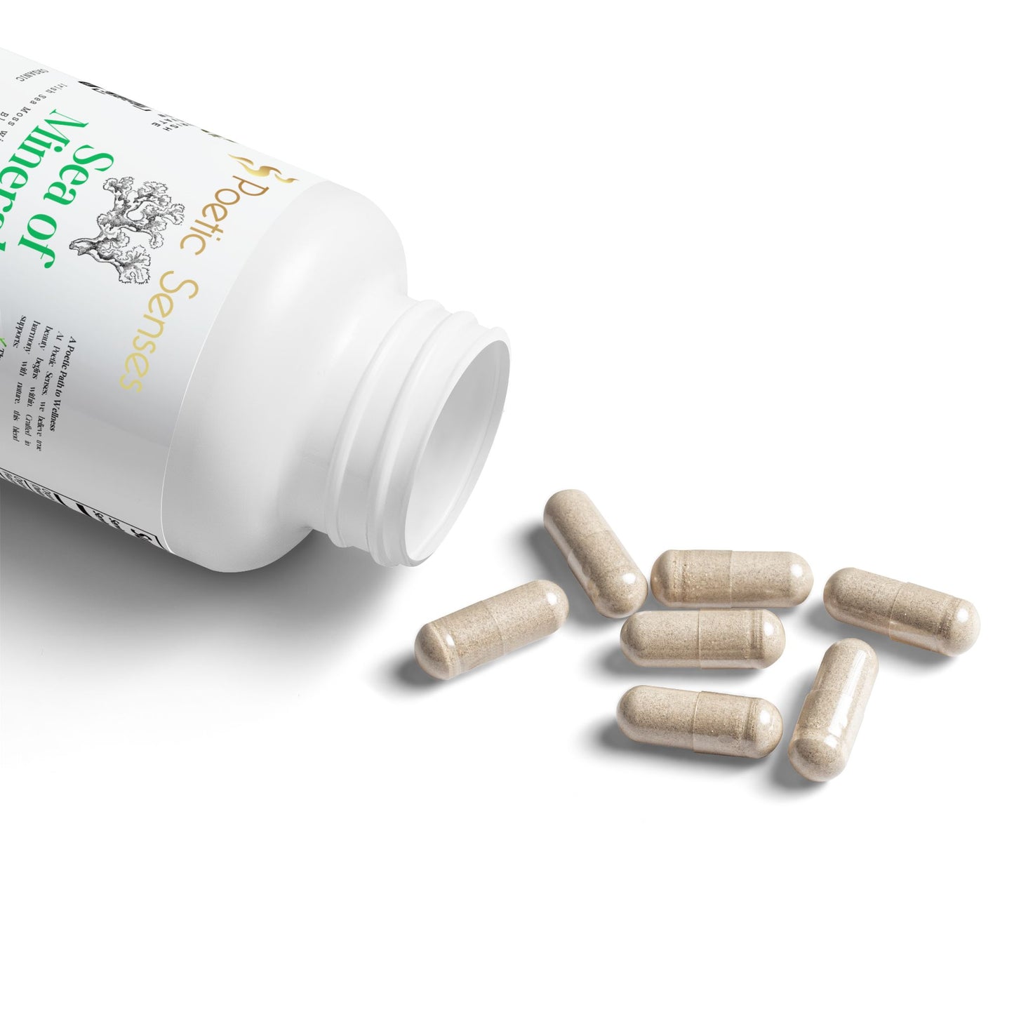 Sea of Minerals Sea Moss Supplement (60 Capsules)