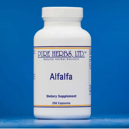 ALFALFA | Structured Herbal Support for Digestive Comfort & Foundational Wellness | Pure Herbs LTD
