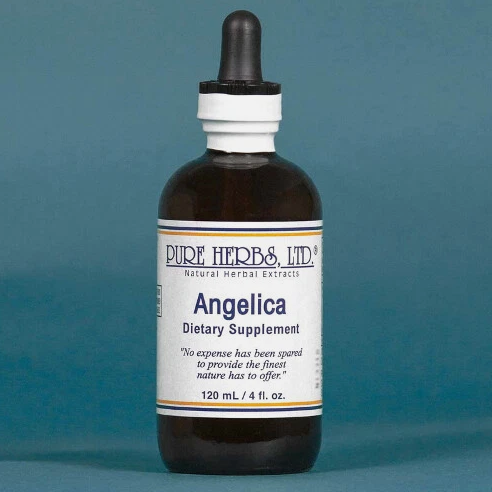ANGELICA | Pure Herbs LTD