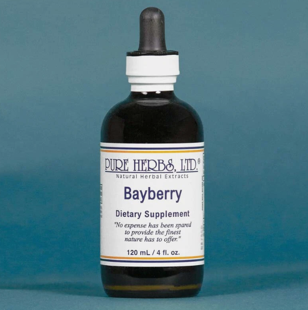 Bayberry | Traditional Herbal Support for Sinus Wellness & Seasonal Comfort | Pure Herbs LTD