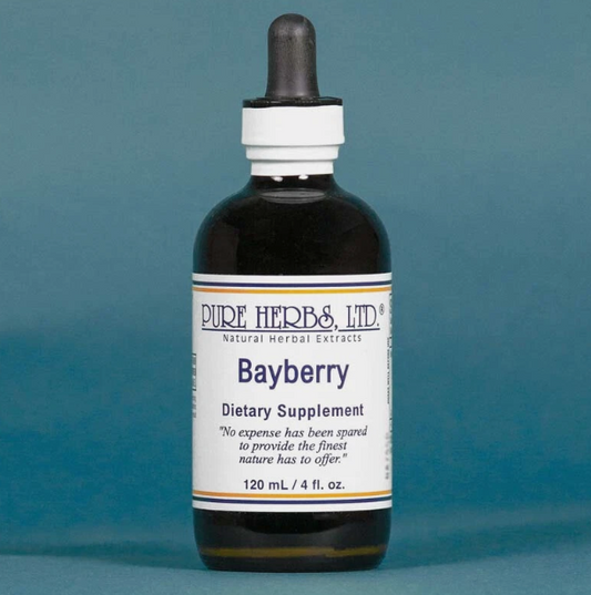 Bayberry | Traditional Herbal Support for Sinus Wellness & Seasonal Comfort | Pure Herbs LTD