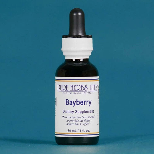 Bayberry | Traditional Herbal Support for Sinus Wellness & Seasonal Comfort | Pure Herbs LTD