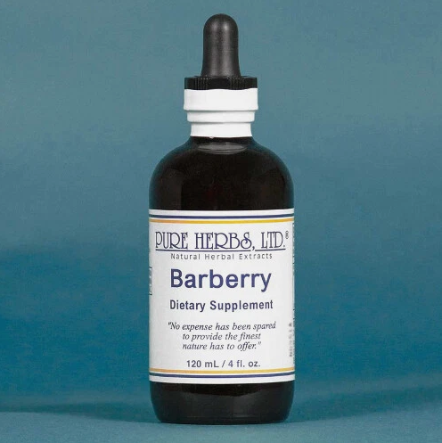 BARBERRY | Herbal Support for Digestive, Urinary, Immune Balance | Pure Herbs LTD