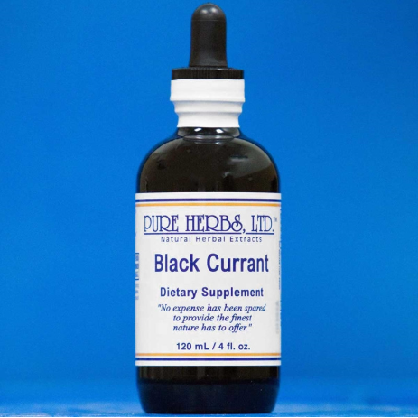 BLACK CURRANT | Herbal Support for Connective Tissue & Antioxidant Wellness | Pure Herbs LTD