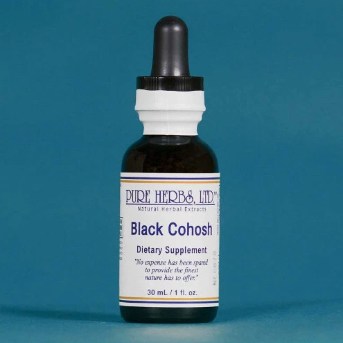 BLUE COHOSH | Herbal Support for Reproductive System Balance