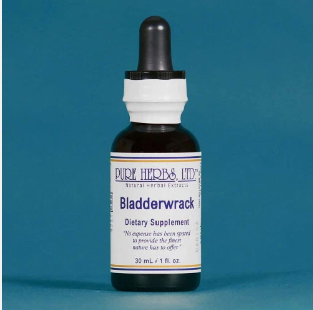Bladderwrack | Traditional Sea Botanical for Muscle Strength & Healthy Thyroid Function | Pure Herbs LTD