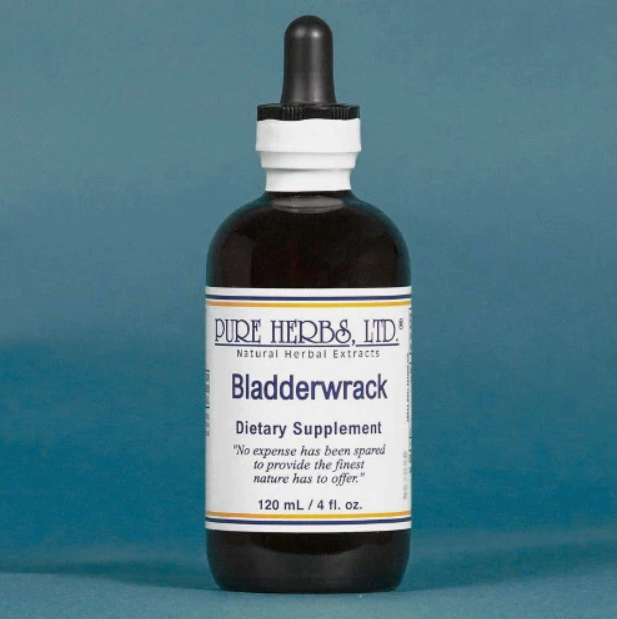 Bladderwrack | Traditional Sea Botanical for Muscle Strength & Healthy Thyroid Function | Pure Herbs LTD