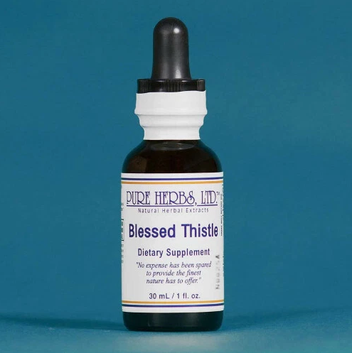 BLESSED THISTLE | Herbal Support for Digestive Strength & Vital Energy