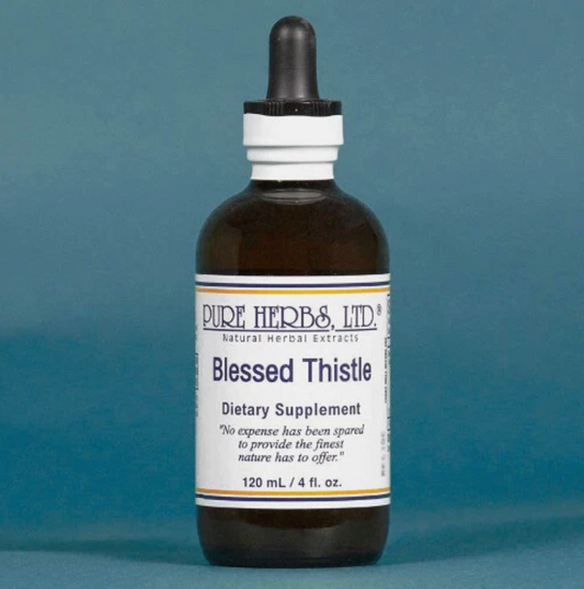 BLESSED THISTLE | Herbal Support for Digestive Strength & Vital Energy