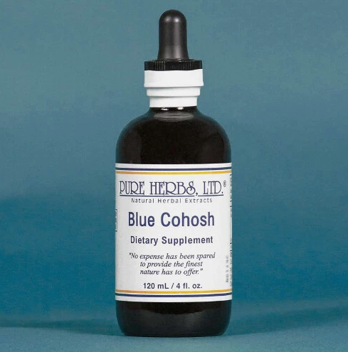 BLUE COHOSH | Structured Herbal Support for Reproductive System Balance