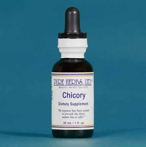 CHICORY | Herbal Support for Digestive, Liver & Metabolic Balance |