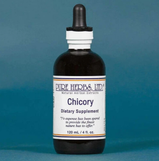 CHICORY | Herbal Support for Digestive, Liver & Metabolic Balance |