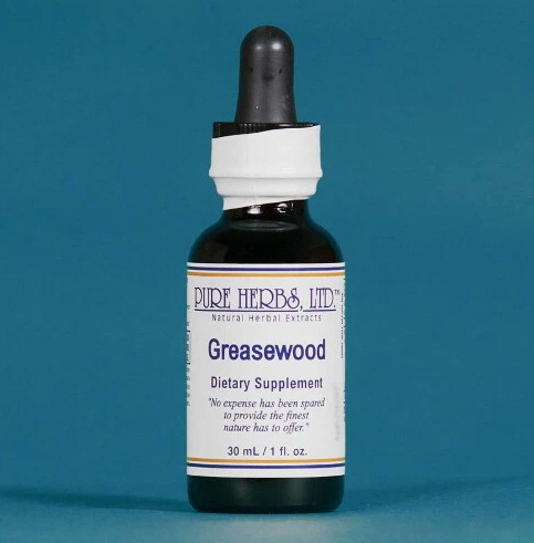 Greasewood (Chaparral) | Traditional Herbal Support for Digestive Wellness, Respiratory Health & Metabolic Balance| Pure Herbs LTD