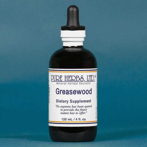 Greasewood (Chaparral) | Traditional Herbal Support for Digestive Wellness, Respiratory Health & Metabolic Balance| Pure Herbs LTD