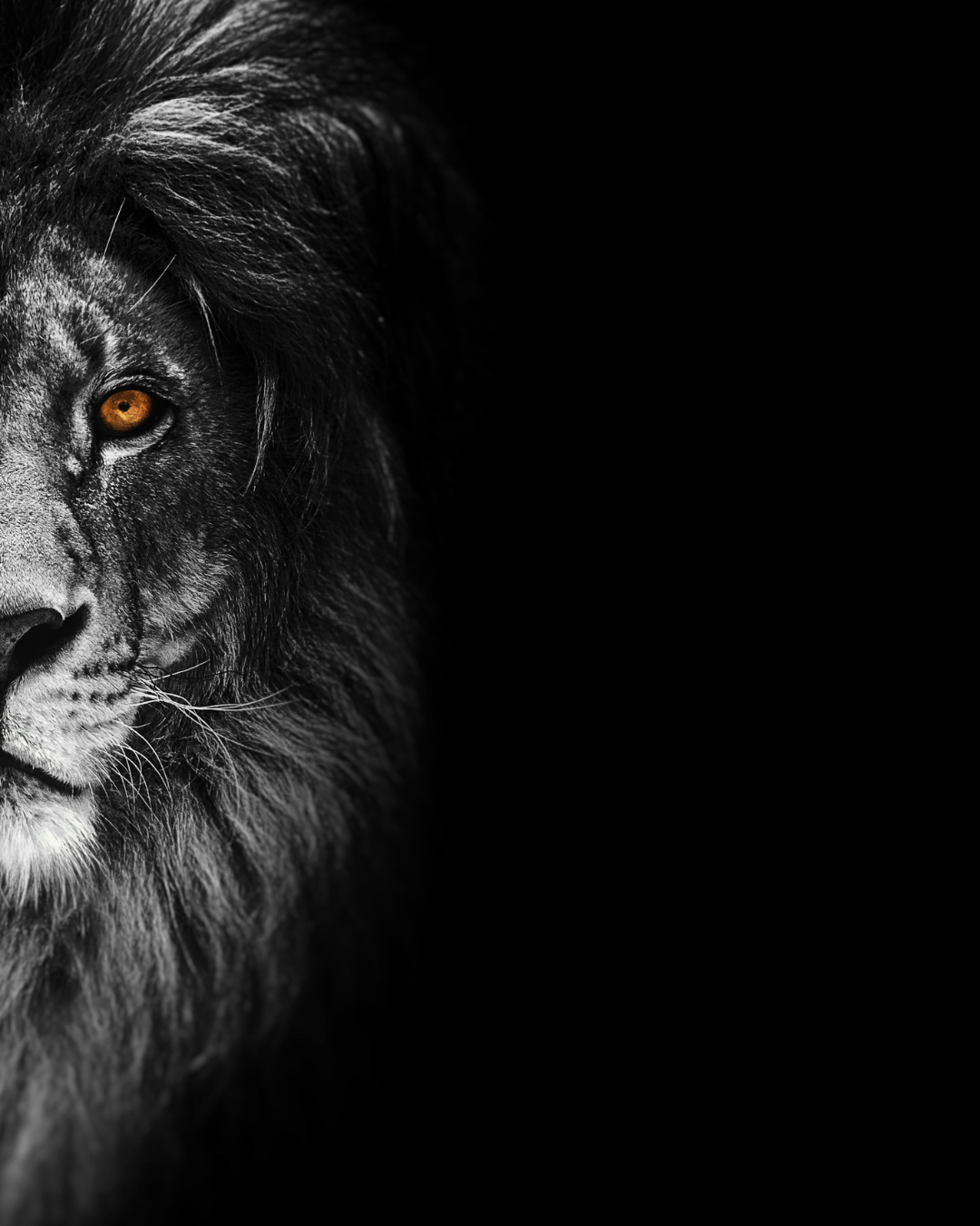 Poetic Senses Luxe Lather Beard Wash | 8 oz | Poetic Man