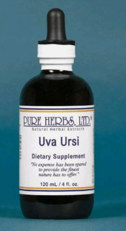 UVA URSI | Herbal Support for Urinary Tract & Kidney Wellness | Pure Herbs LTD