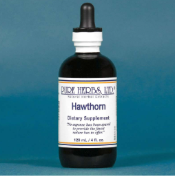 Hawthorn | Herbal Support for Cardiovascular Wellness | Pure Herbs LTD